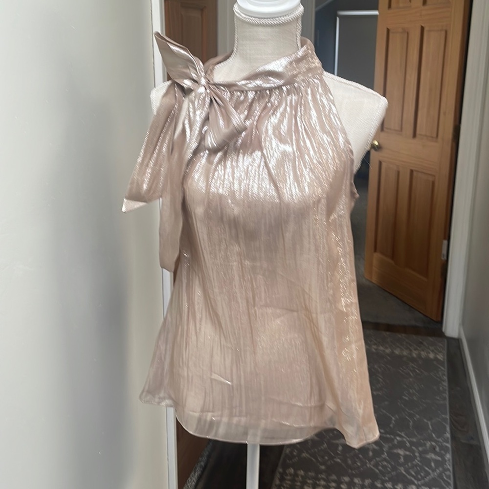 AUM Couture metallic blouse with ties neck. Sheer and sexy
